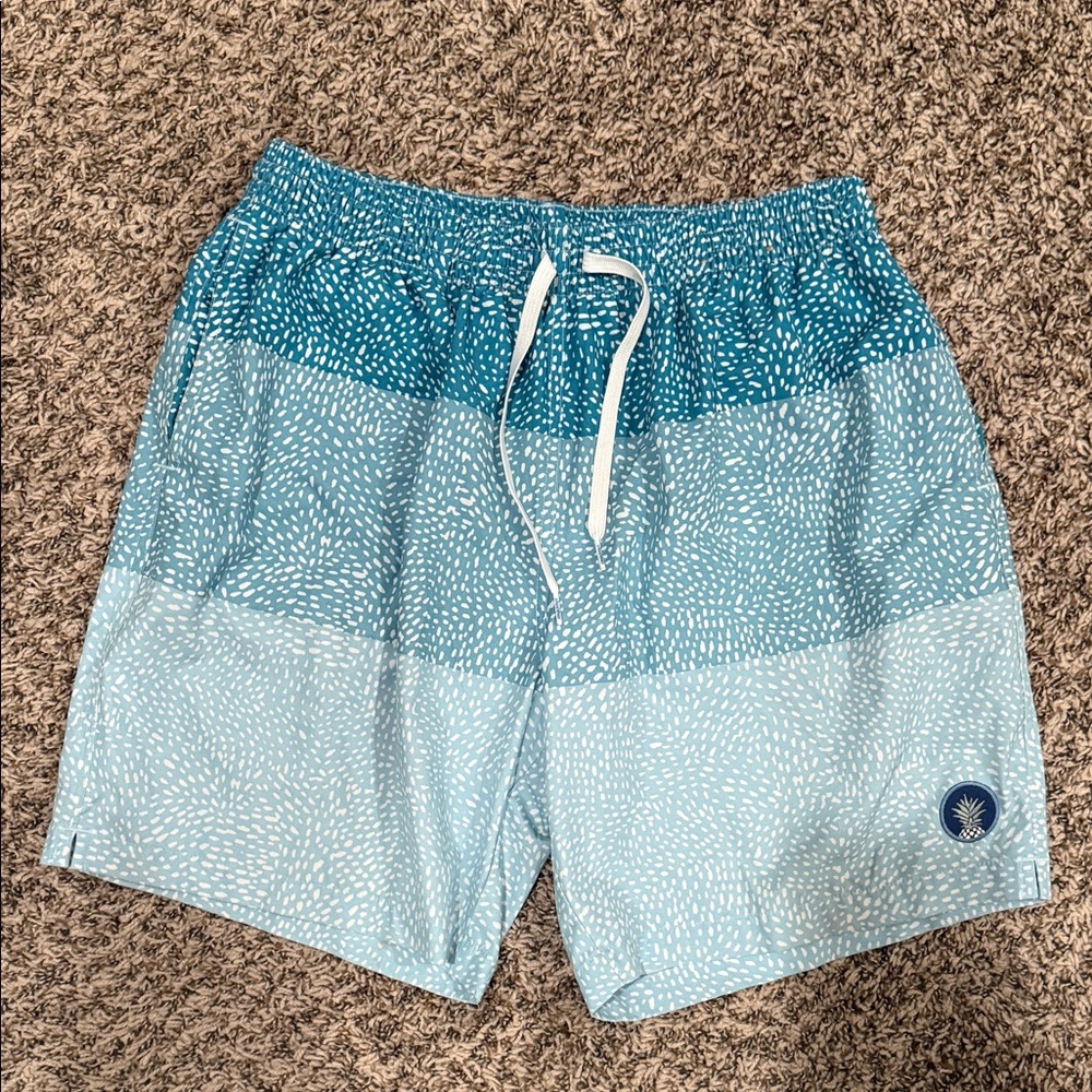 chubbies Teal to Light Blue Ombre Speckled Swim Trunks with White Drawstring